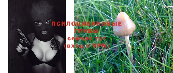 2c-b Ростов