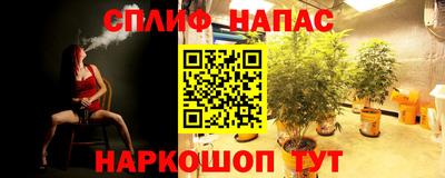 ешки Волгодонск