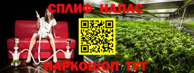 МДПВ Волжск