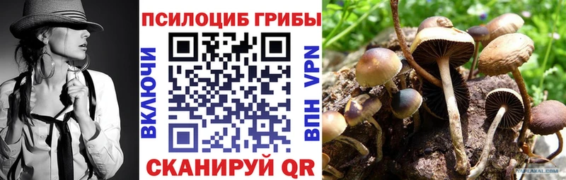 Галлюциногенные грибы Psilocybine cubensis  Вязьма 