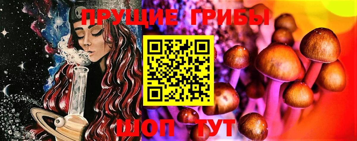 Вязьма  Галлюциногенные грибы прущие грибы  Галлюциногенные грибы мицелий  Вход с VPN 