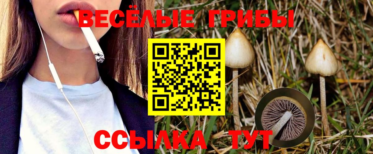 Псилоцибиновые грибы мицелий  Галлюциногенные грибы Magic Shrooms  Вязьма 