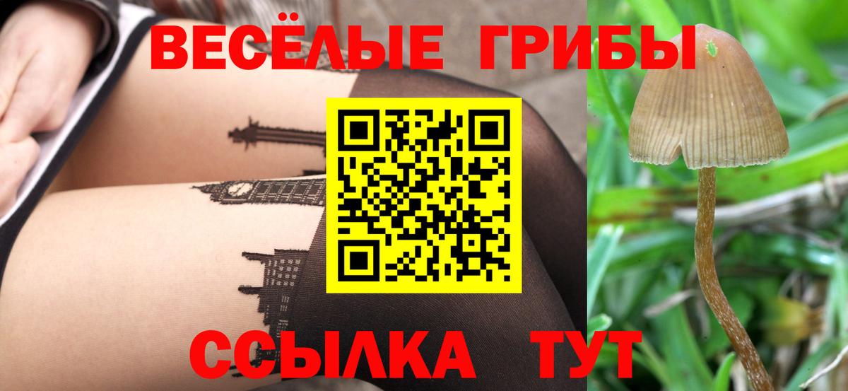 Галлюциногенные грибы ЛСД Вязьма